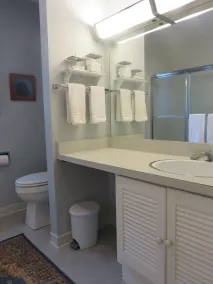 Private Carriage House Compound - Walking Distance to Downtown Hot Springs - Image 3