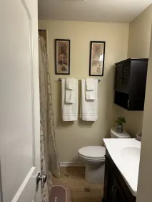 Spacious home/outdoor area minutes from Amazon Center, LSU, SU, downtown & mall - Image 3