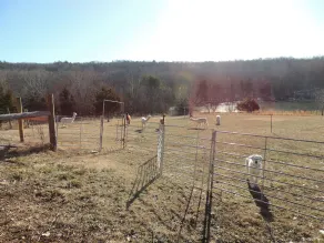 Alpaca Farm Stay - Image 2