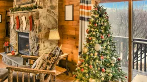The Lodge At Tunkhannock Creek - Image 2