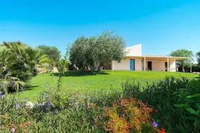 Isla Verde - Oliven - Villa til 6 personer i Scicli - Image 3
