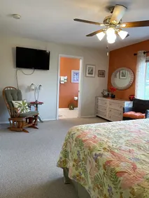 Sie sind näher an Ihrem eigenen Paradies in der wunderschönen Tampa Bay! - Image 5