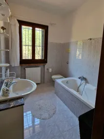 Among olive trees and vineyards in complete relax - Torreselle - Image 4