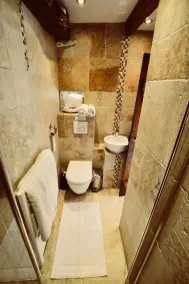 Le Chene - Cosy gite with panoramic mountain views, immersed in beautiful nature - Image 2