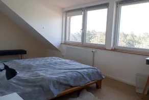 Ferienwohnung Bergschäferei - Image 4