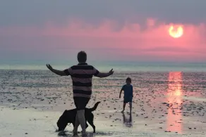 The Stables - Self Catering Chalets by the Beach - Dog Friendly - Image 5