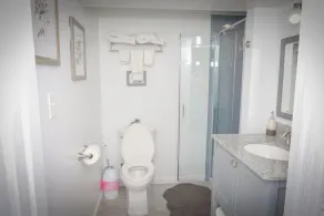 Newly renovated, large one bedroom guest suite close to Washington DC in a quiet neighborhood - Image 3