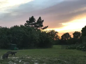 Ruhige Landhaus-Einzimmerwohnung mit 9000 qm Garten - Image 3