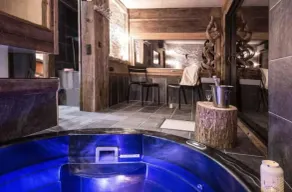 Chalet Spa (sauna- jacuzzi) breathtaking Mont Blanc view - Image 2