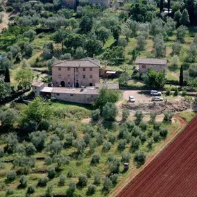 Organic Farm in der Gegend von Siena - Image 4
