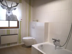 Casa vacanze grande, confortevole, molto tranquilla, su un grande parco - Image 3