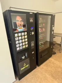 Direkt am Wallersee - Cubes - SELF CHECK-IN - Image 3