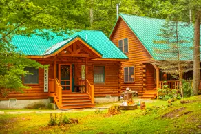 Cabin in the Woods - Image 4