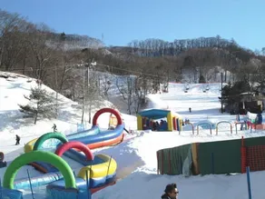 Hotel Petit Riviere Karuizawa - Image 3