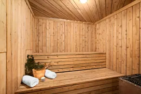 Lakeview chalet by Gooseberry Falls with sauna - Image 2