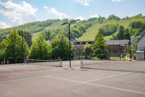Blue Mountain Suites - Image 2