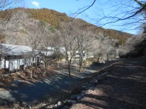Tabito Auto Camp Tabitoso - Image 4