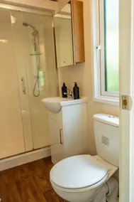 Chalet in de Veluwse bossen - Image 3
