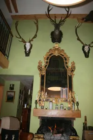 FLAT IN A CHALET - Image 3