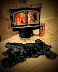 #4-Private Hot Tub*Near Tahoe, Reno & Airport*Free parking*Free fast Wifi*PetsOK - Image 2