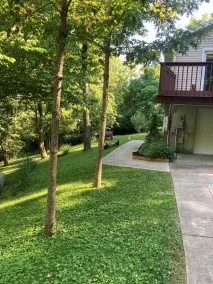 Beautiful lower level of house in nature with wildlife all around. - Image 4