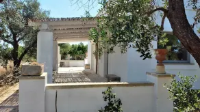 Masseria Ferarelli Trepizzi - Image 2