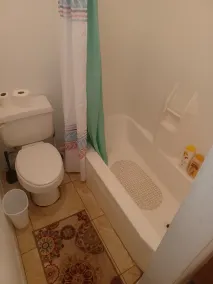 Entire Apartment Suite - Image 3