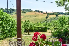 Villa with private pool 80 kms northern of Rome and 30 from Orvieto. 5 bedrooms - Image 4