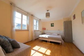 Cozy apartment - Aux Deux Cigognes - Alsacial farm house - Image 5