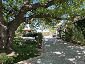 Independent suite- Ground floor of our family home in the middle of a vineyard - Image 5