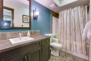 Mountain & Forest Views, Hot Tub: Top Floor 1 Bed 1 Bath; Pets OK - Image 3