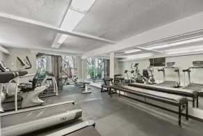 Beach Paradise in Jekyll Island - Image 4