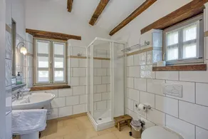 Rustic villa Amyra with pool and grill in Porec - Image 5