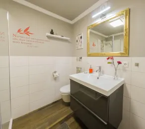 Double apartment Union near Cologne Messe Bonn Phantasialand - Image 4