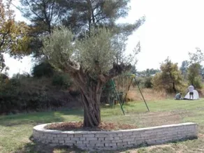 Entre Aix et Marseille, trés calme, grand jardin et piscine - Image 2
