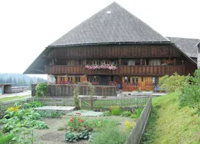 Cómodo apartamento de 3 dormitorios con encanto rural en Emmental granja - Image 4