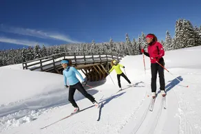 Location chalet bois Les Loges du Jura - Image 4