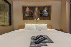 Jacuzzi Suite - Image 4