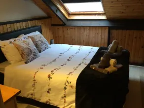 Mycket trädbevuxen fastighet i achouffe - Image 5