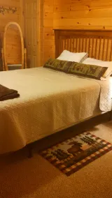 Grey's Getaway Cabin  5 acres, Finger Lake area a little slice of heaven! - Image 4