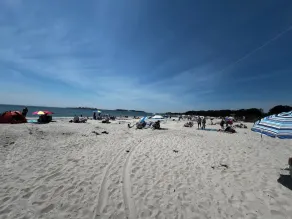 Beaches, Trails, Hammock, Fire-Pit, Peaceful! - Image 4