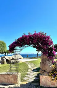 Studio apartment in the Gulf of Marinella - Image 4