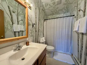 Lakefront Home Near Minocqua - Year round fun! - Image 3