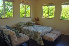 Oliana Cottage - Leilani Pahoa - Allergi Friendly - Image 5