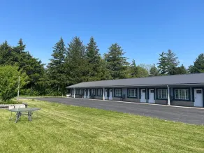 Miracle Motel - Image 2