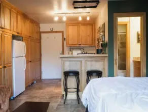 Sun Valley Adventure Condo - Image 3