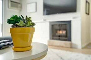 Beautifully remodeled 2 bed 104 Berkley Verona #6 - Image 2