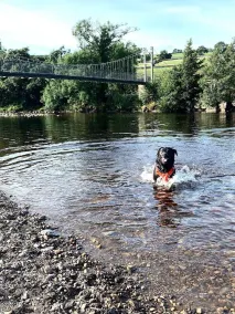 A hidden gem with the appeal of a traditional Yorkshire Dales Cottage - dog friendly, pubs nearby - Image 3