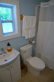 North Country Lake House - Bear - Image 3