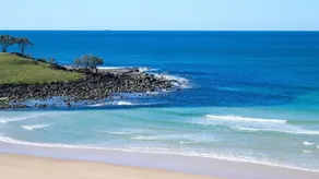 THE Palms Angourie - Treetop Retreat Near Spooky Beach - Holiday Yamba - Image 3